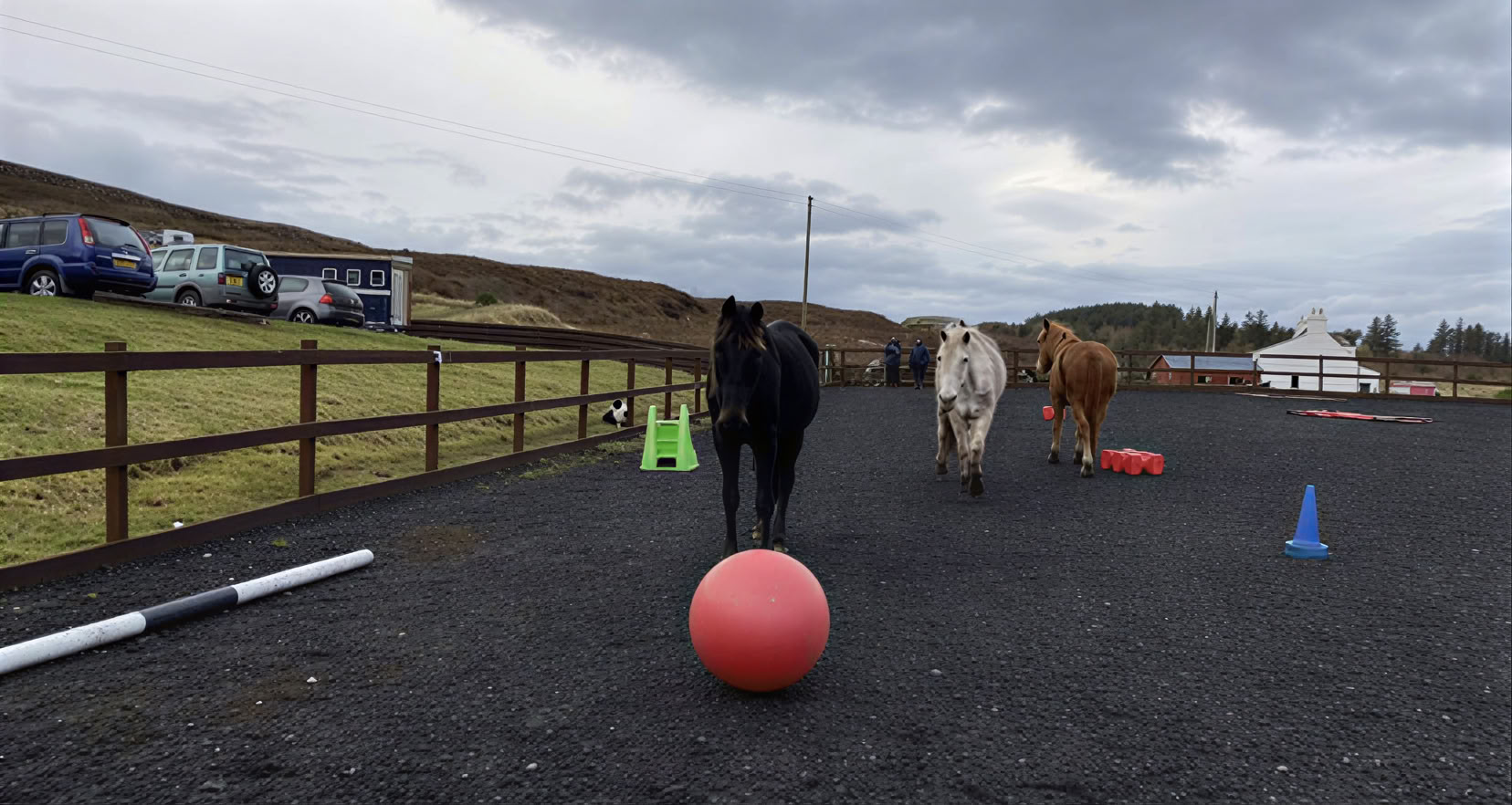 Coaching thérapeutique assisté par les chevaux