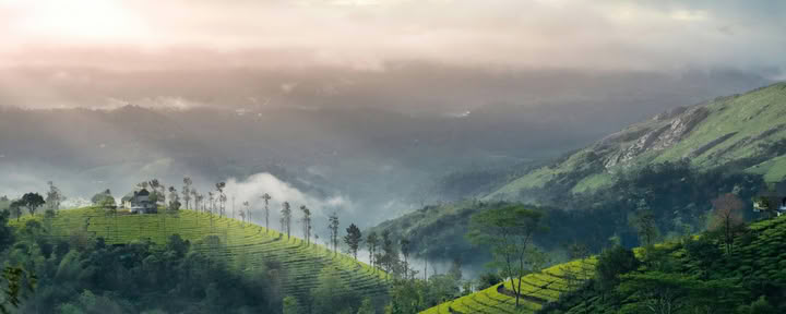 Événement gratuit de yoga avant la Journée de la Terre