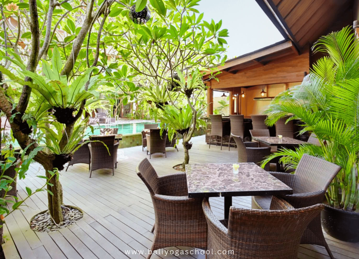 Formation de professeur de yoga de 50 / 100 / 200 h à Ubud et Uluwatu