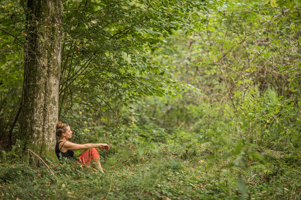 Journées d’été sauvages – petit festival de retraite