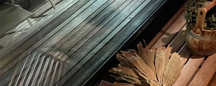 Sœurs du sauna