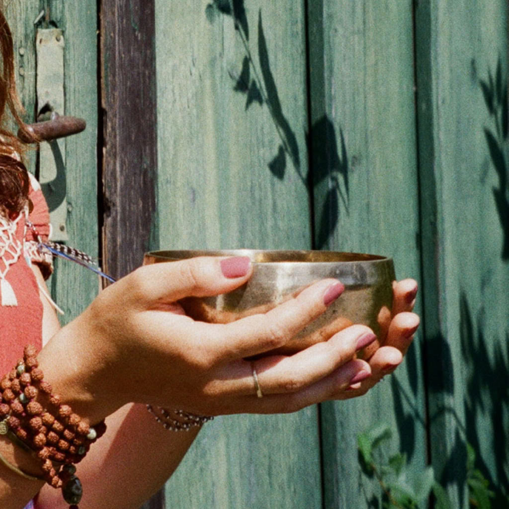 Jours Détox et Régime Mimant le Jeûne (FMD)