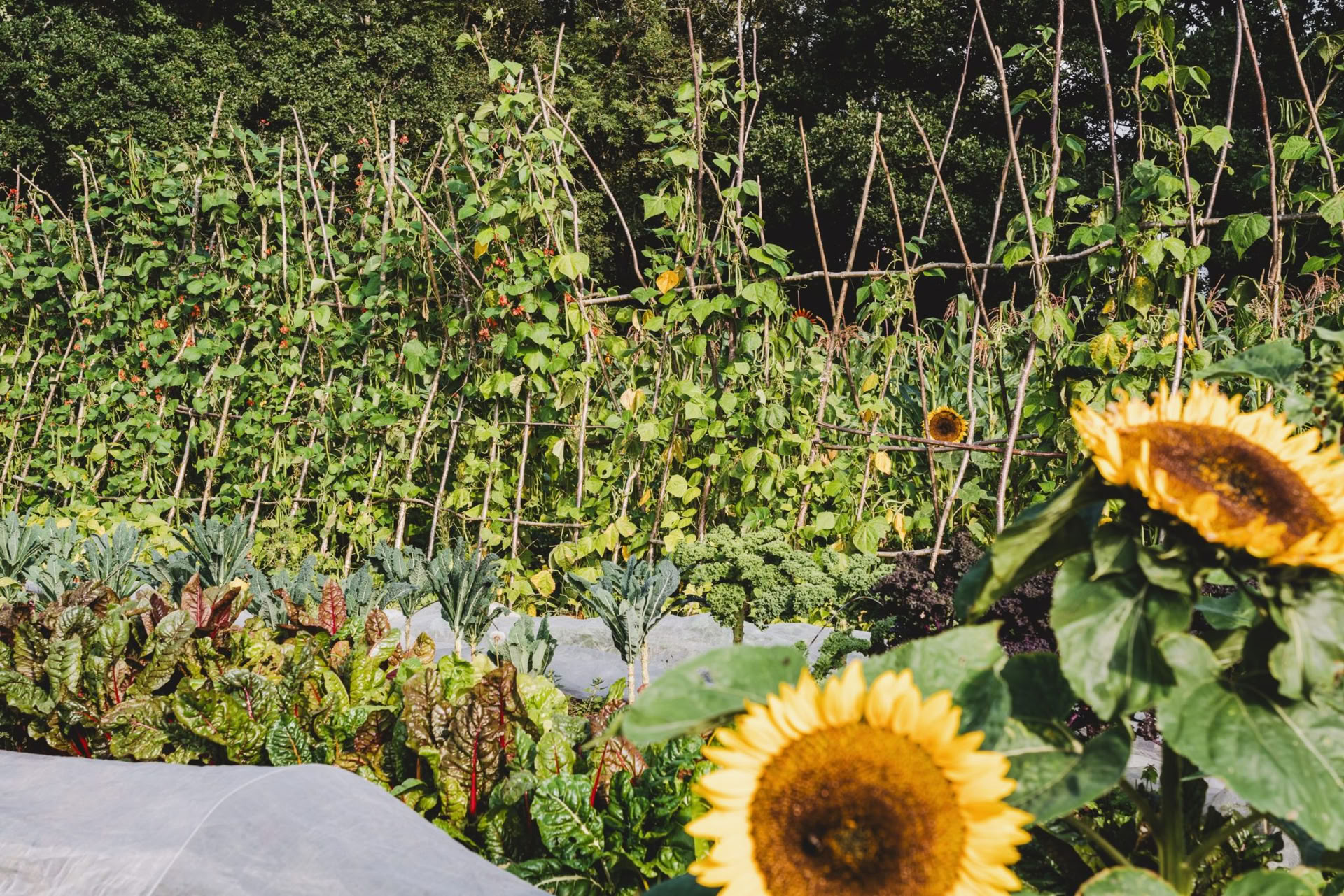 Principes de la permaculture
