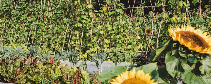Principes de la permaculture