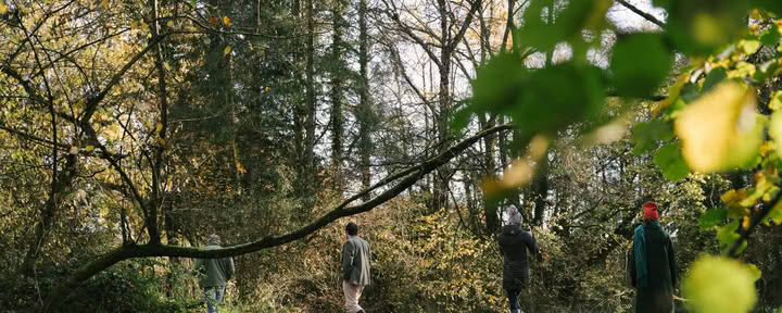 Chasse au trésor dans les bois