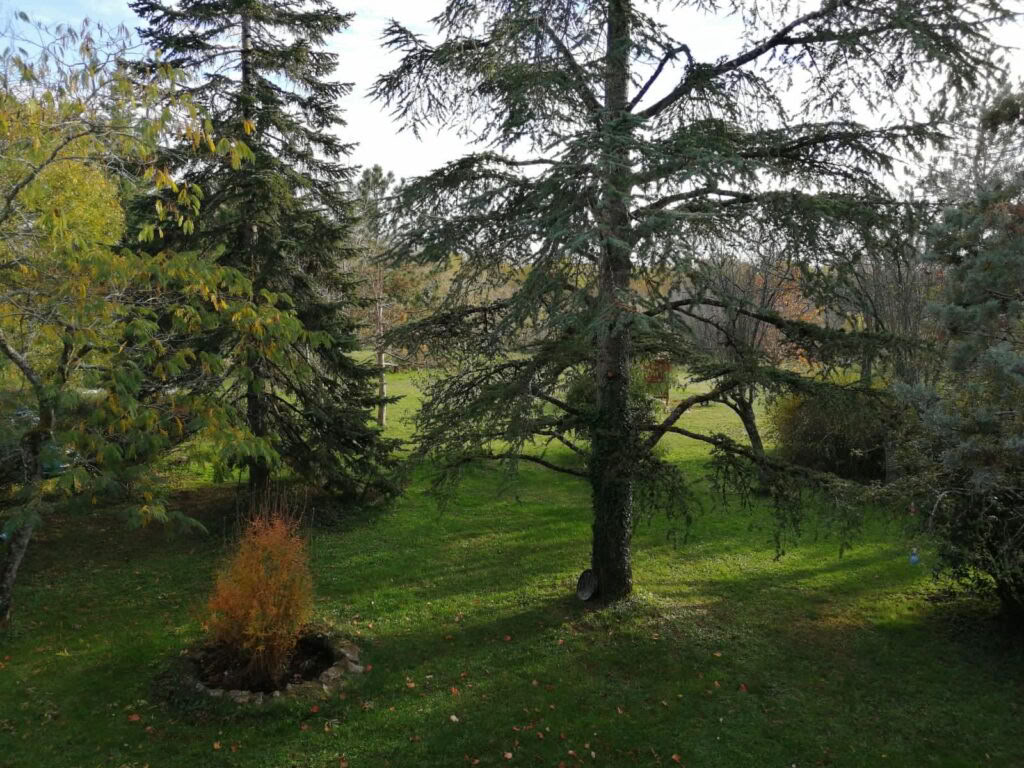 Retraite de yoga et de méditation dans le sud de la France