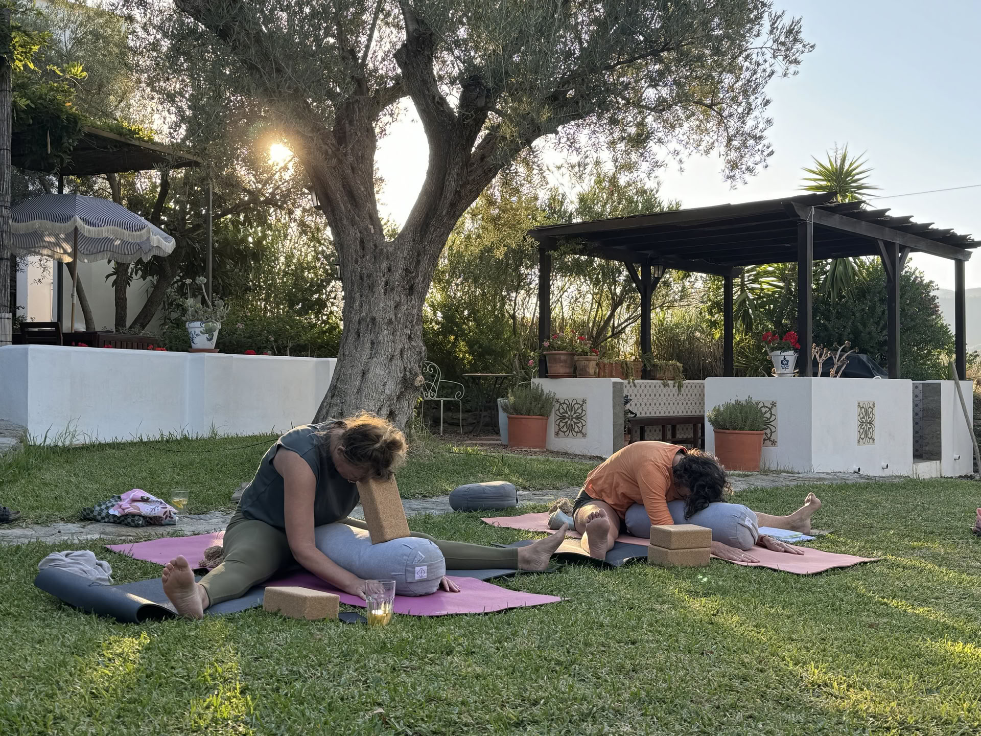 Cours de Yin Yoga de 50 h - Octobre