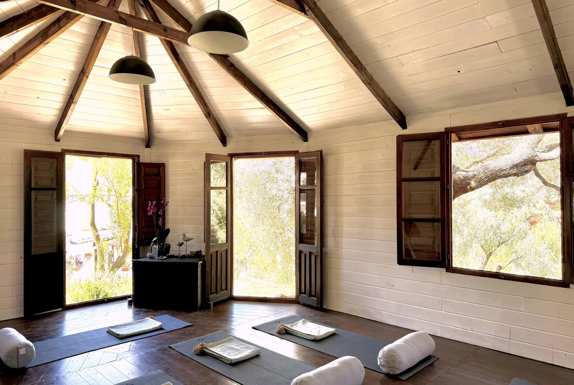 Cours de Yin Yoga de 50 h - Octobre