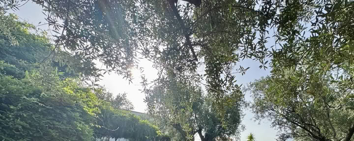 Retraite de yoga de 7 jours pour se reconnecter et se rééquilibrer à Orgiva, en Espagne