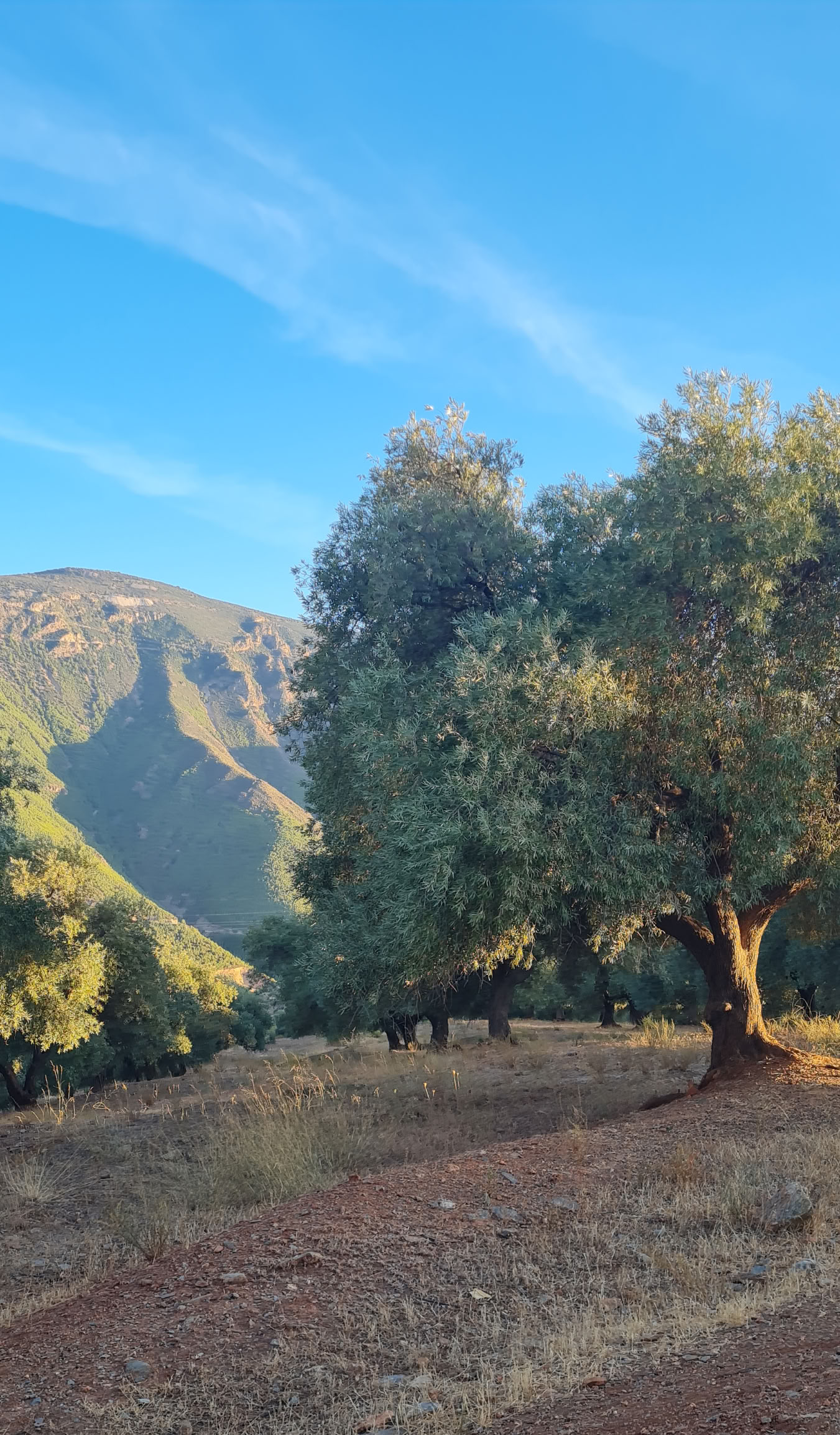 Retraite de yoga en Espagne