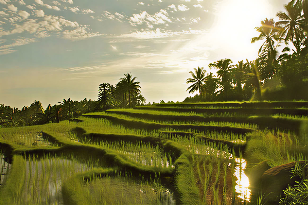 Retraite de yoga à Bali