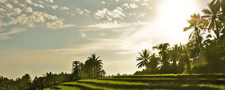 Retraite de yoga à Bali