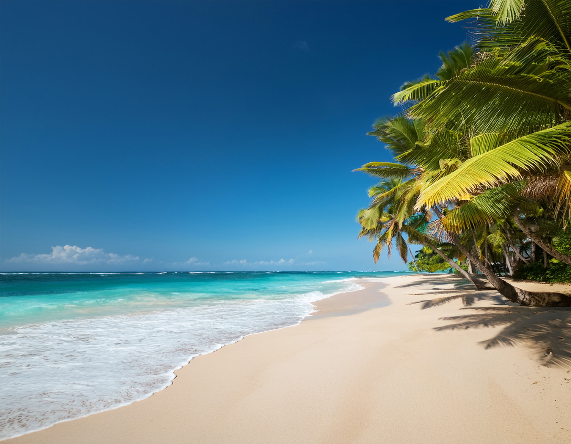 Retraite à Diani Beach, au Kenya
