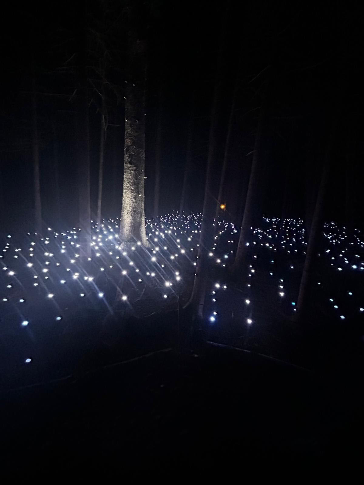 L’Expérience de Glamping Akadi Lumina