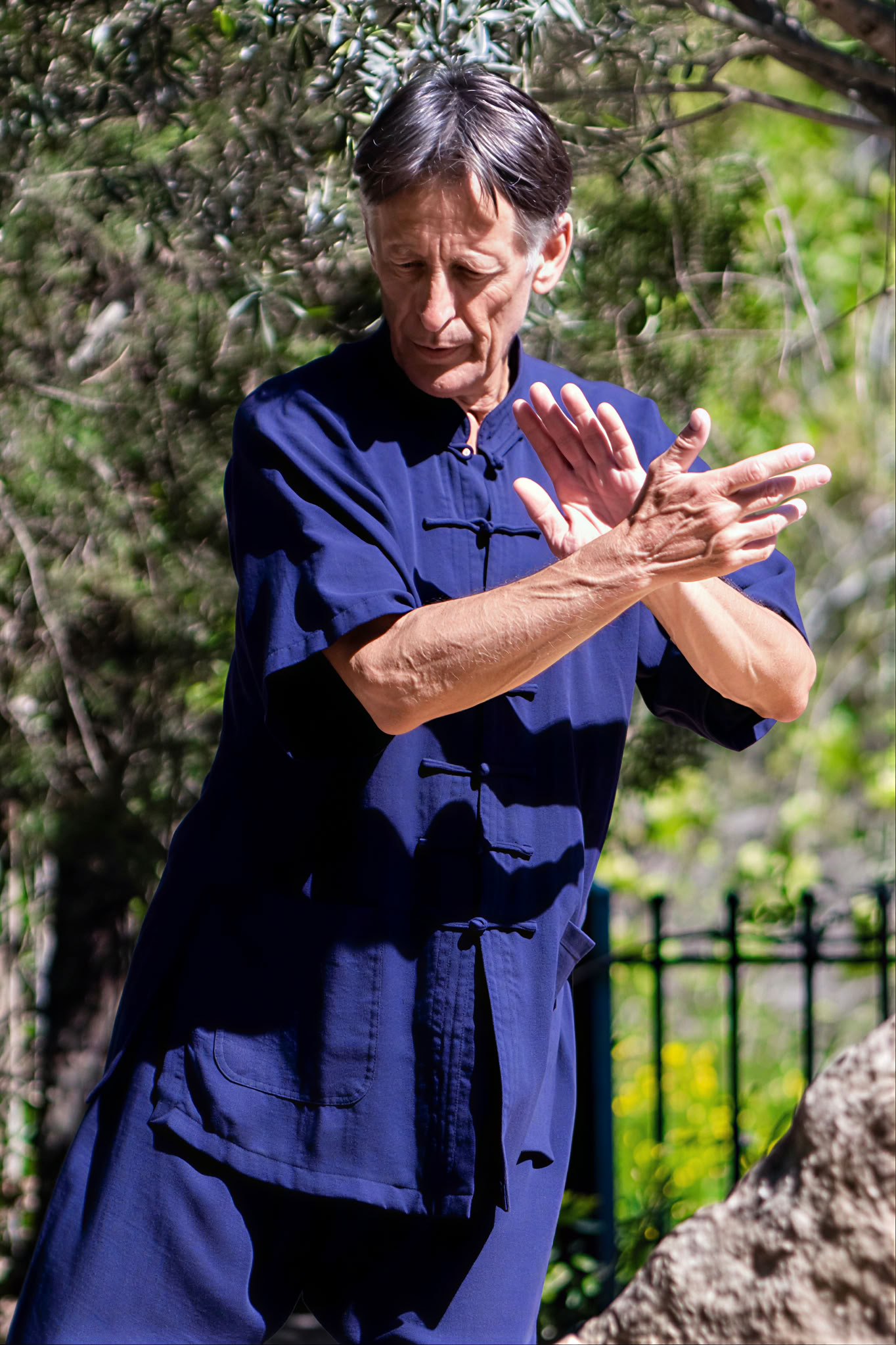 Retraite de Tai Chi et Qi Gong