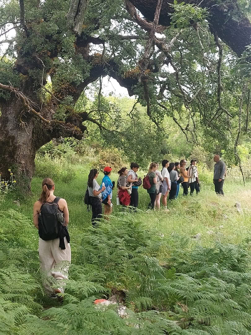 Retraite de Tai Chi et Qi Gong