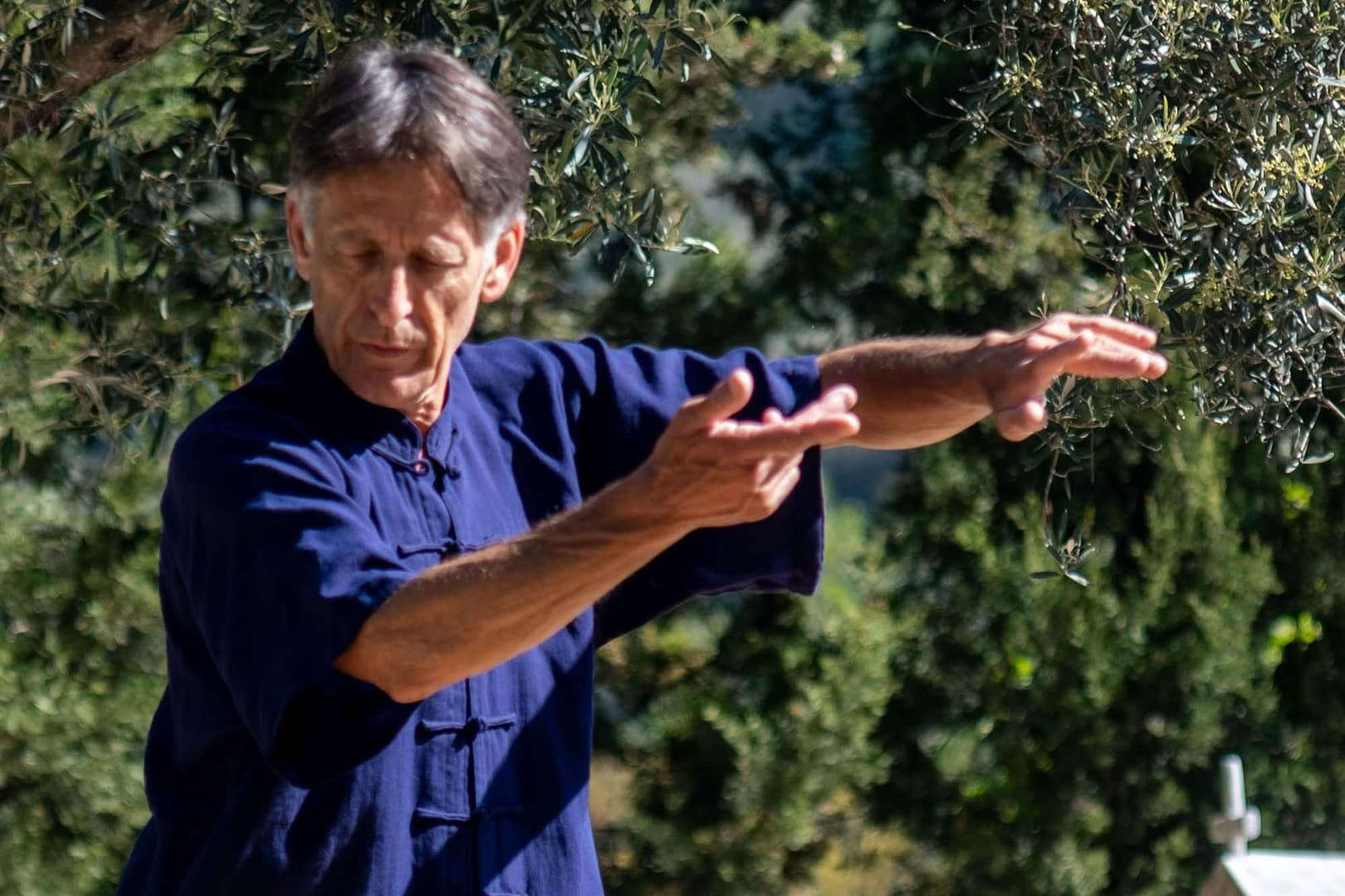 Retraite de Tai Chi et Qi Gong