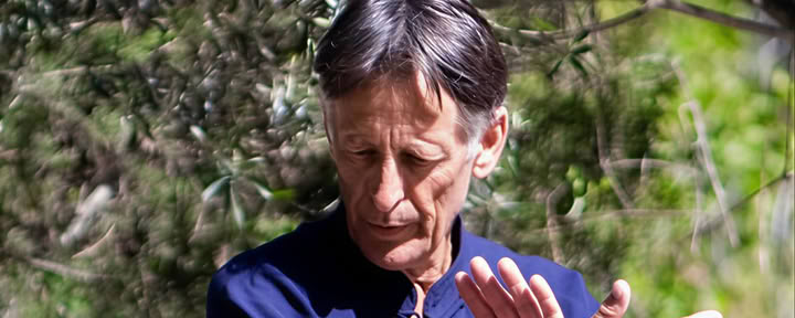 Retraite de Tai Chi et Qi Gong