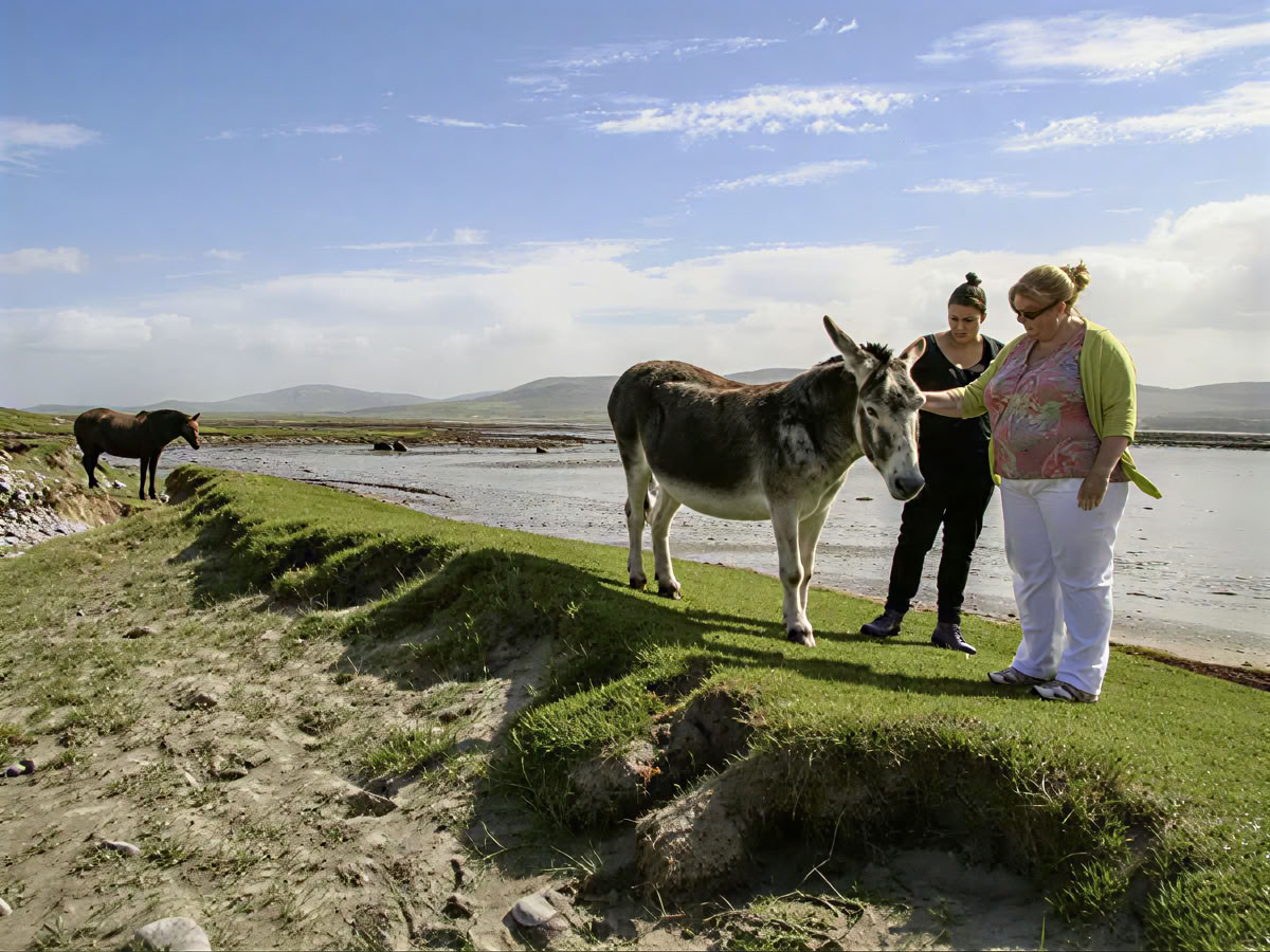 Retraite pour couples en Irlande