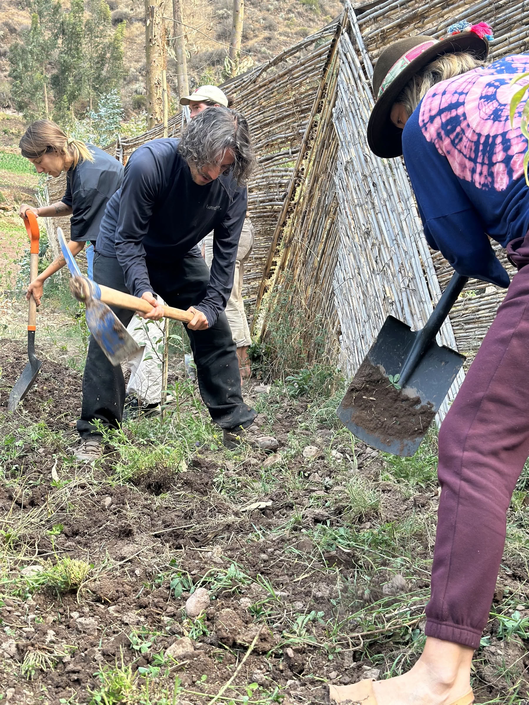Permaculture sociale