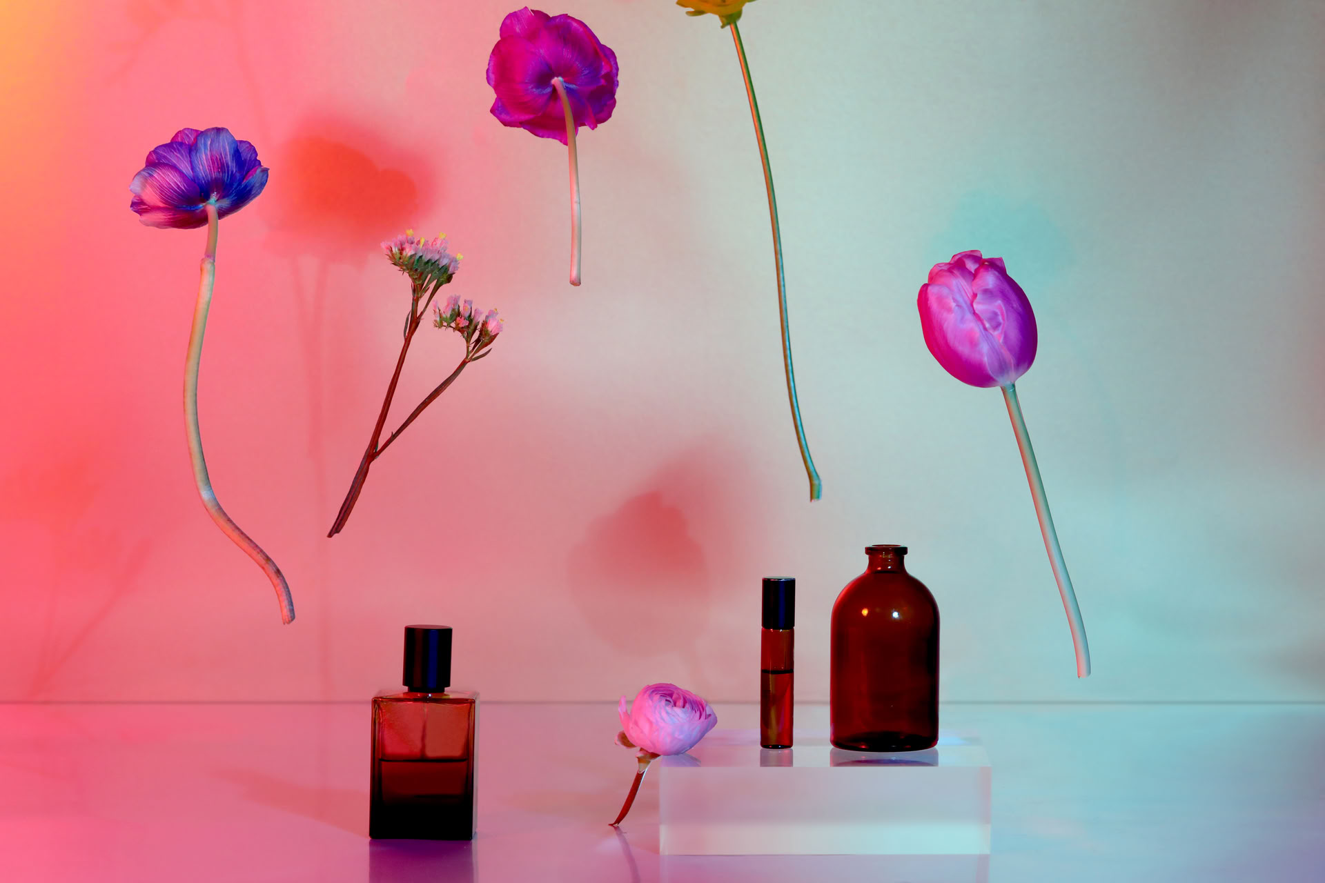 Introduction à l’aromathérapie