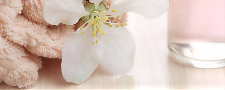Introduction à l’aromathérapie