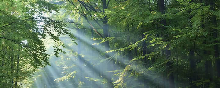 Cours de praticiens Reiki 2