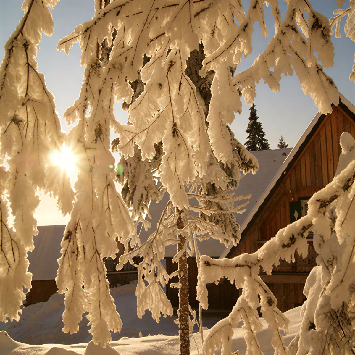 Retraite pour couples à Reinischkogel
