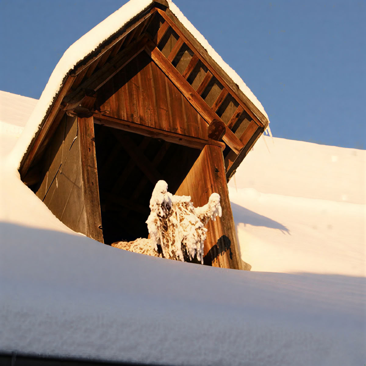 Parcours de cordes en hauteur