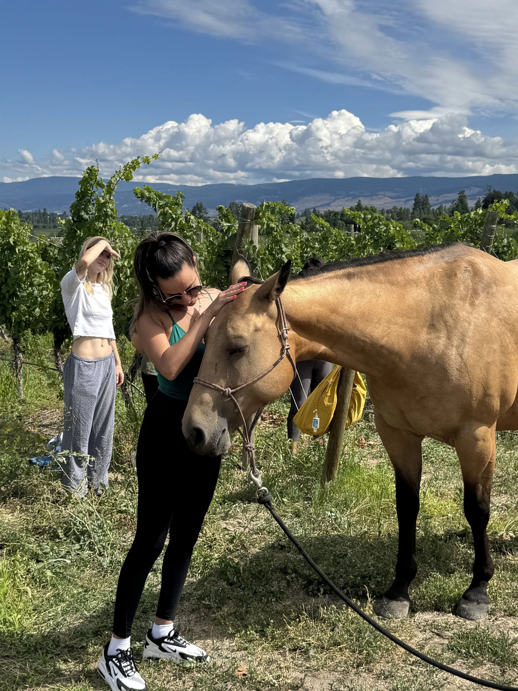 Divine Dolce Vita : retraite de yoga luxueuse au cœur de la Toscane