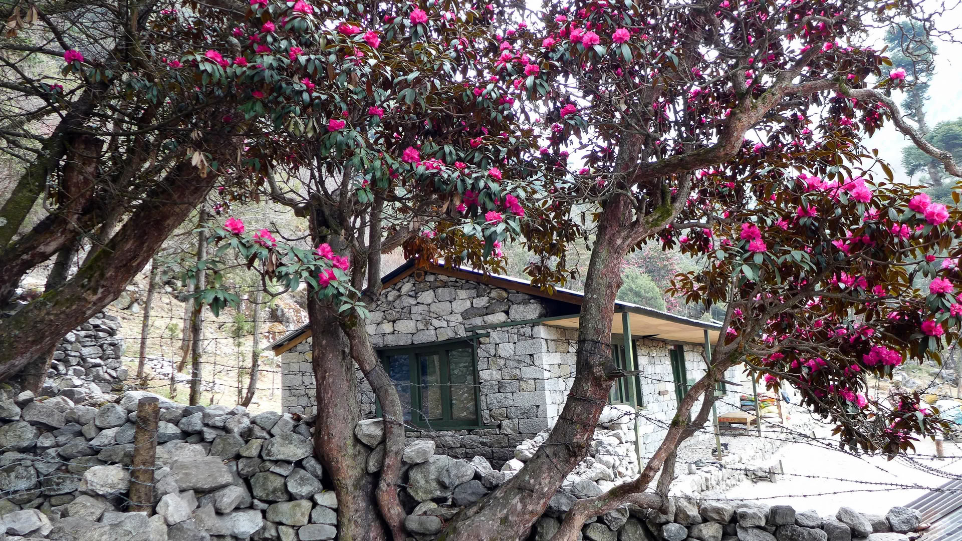 Camp de base de l’Annapurna