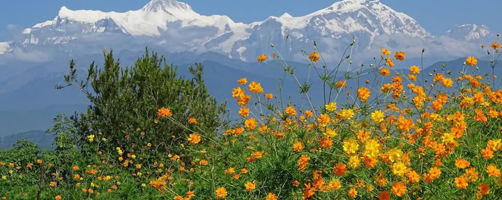 Camp de base de l’Annapurna