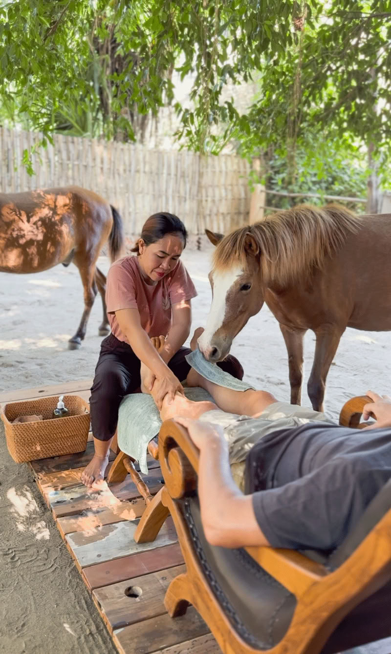 Marche à cheval