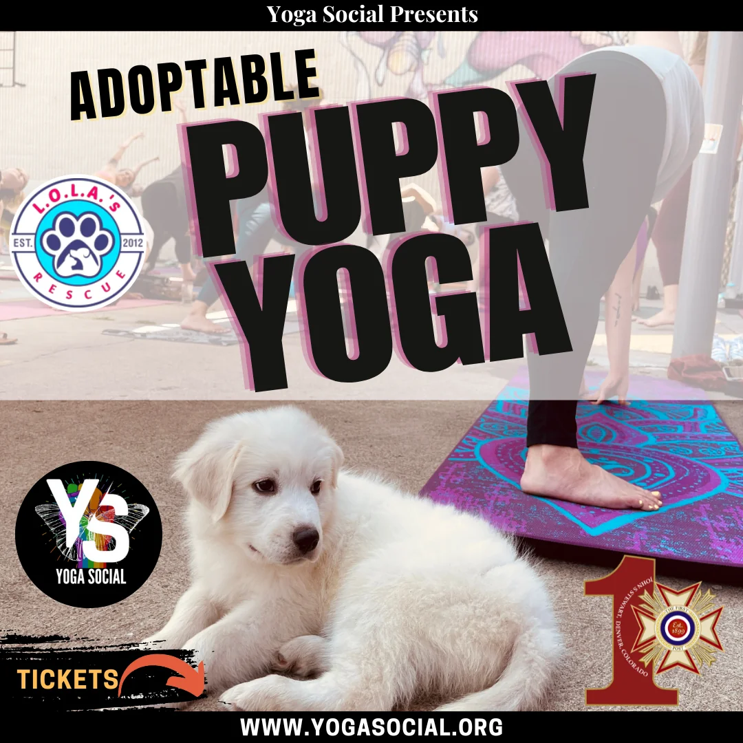 Yoga au VFW Post 1 | Denver