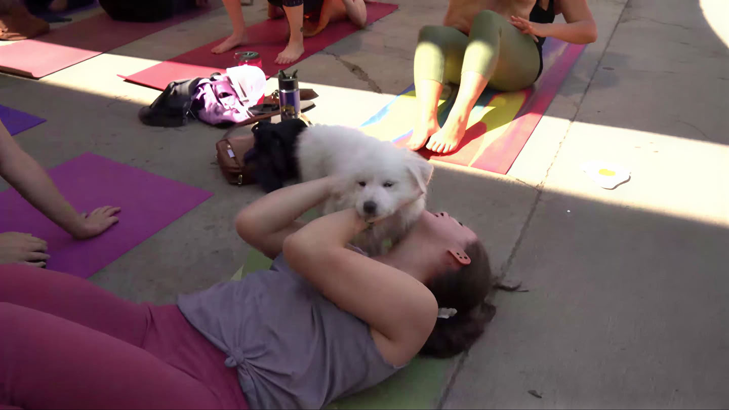 Yoga et Pilates au Bierstadt Lagerhaus | Denver