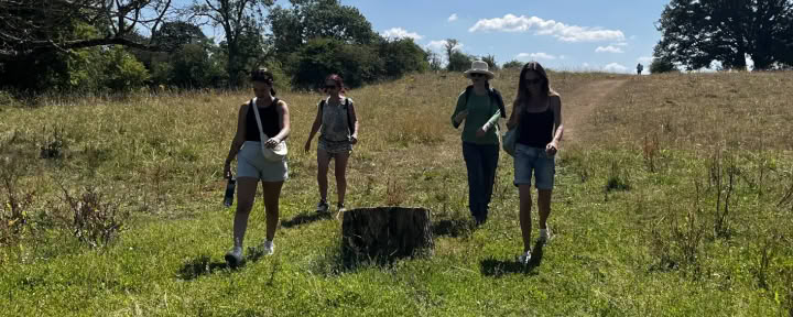 Festival Terre de Valeur