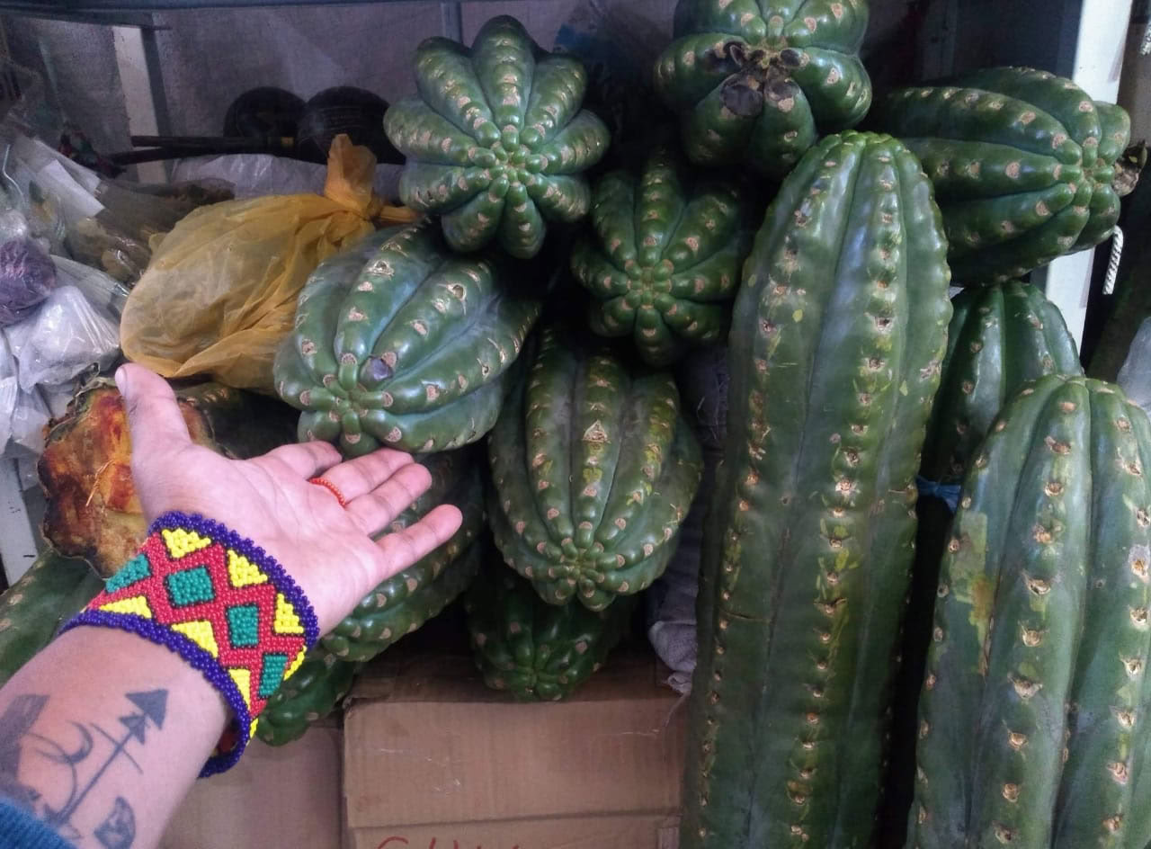 Cérémonie de San Pedro