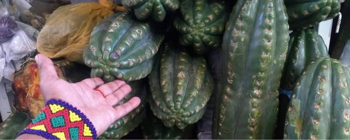 Cérémonie de San Pedro