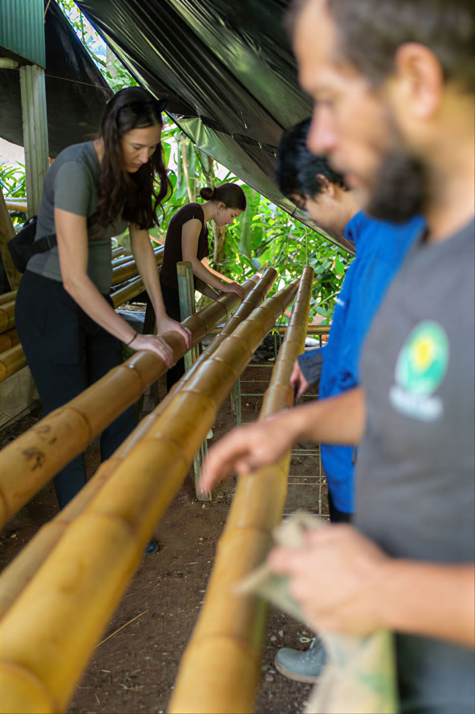 Programme d’immersion en espagnol