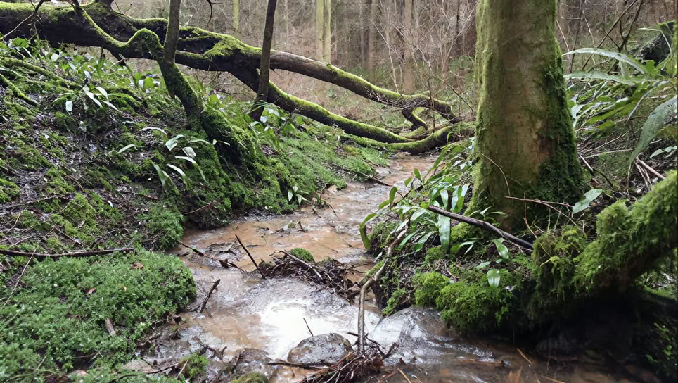 Retraite bien-être d’hiver - Cotswolds