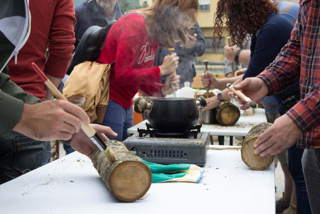 Cours de culture des shiitakés en Navarre