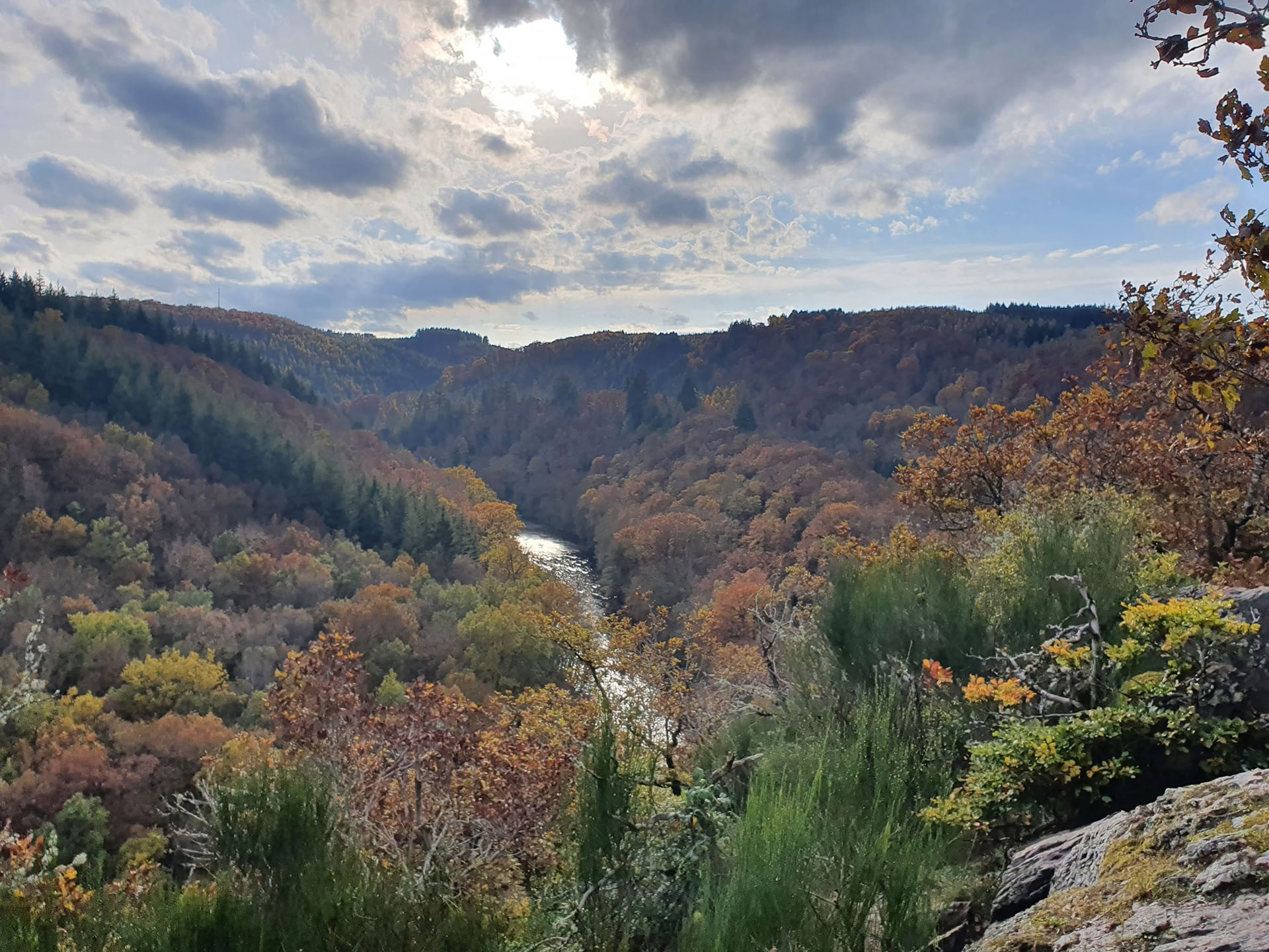 Quête de vision en solo dans la forêt – 24 h – du 11 au 13 septembre 2026