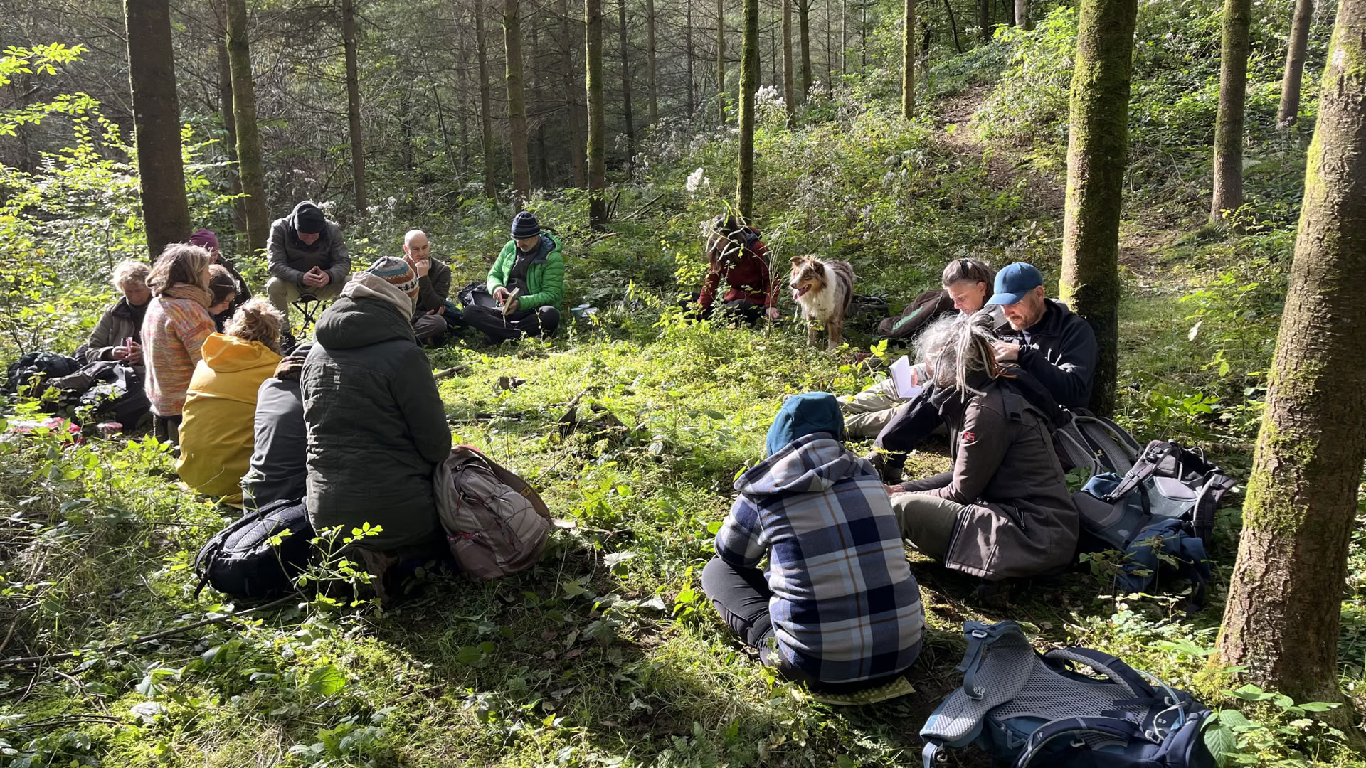 Formation Mirroring pour accompagnateurs nature et coachs – du 22 au 25 octobre 2026 – DERNIÈRES 2 PLACES