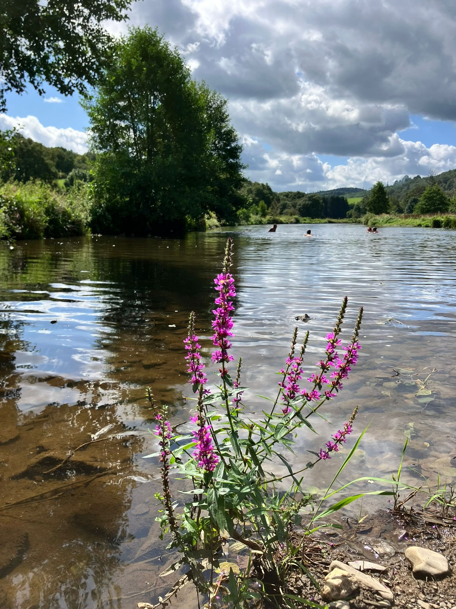 Parcours plantes et herbes 2027 – La nature comme médicament