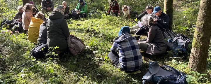 Formation Mirroring pour les accompagnateurs nature et les coachs – du 22 au 25 octobre 2026 – DERNIÈRES 2 PLACES