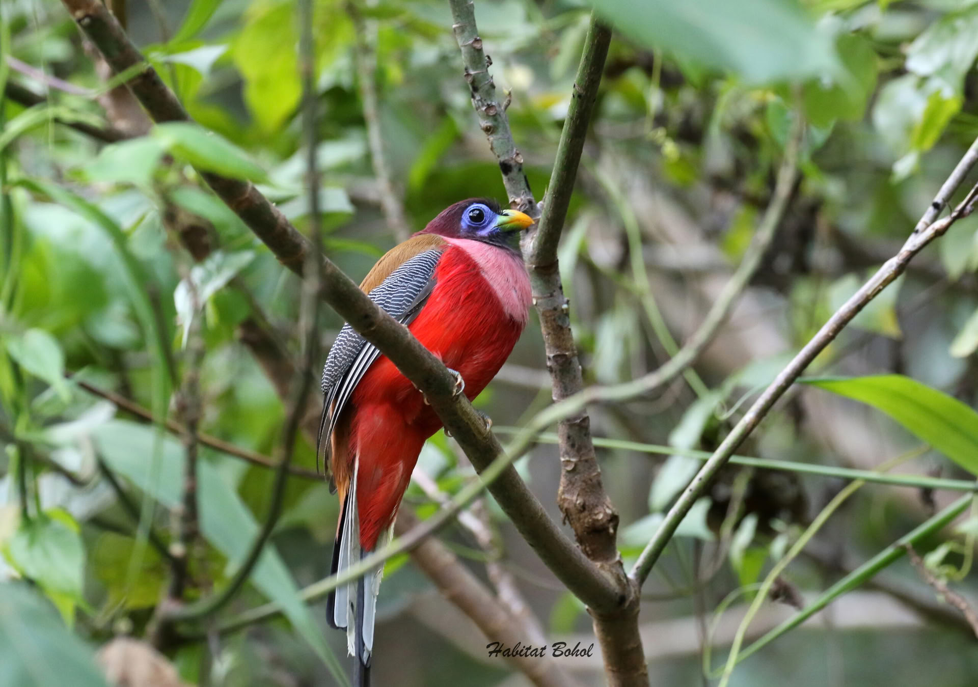 Voyage de pleine conscience de 5 jours et 4 nuits