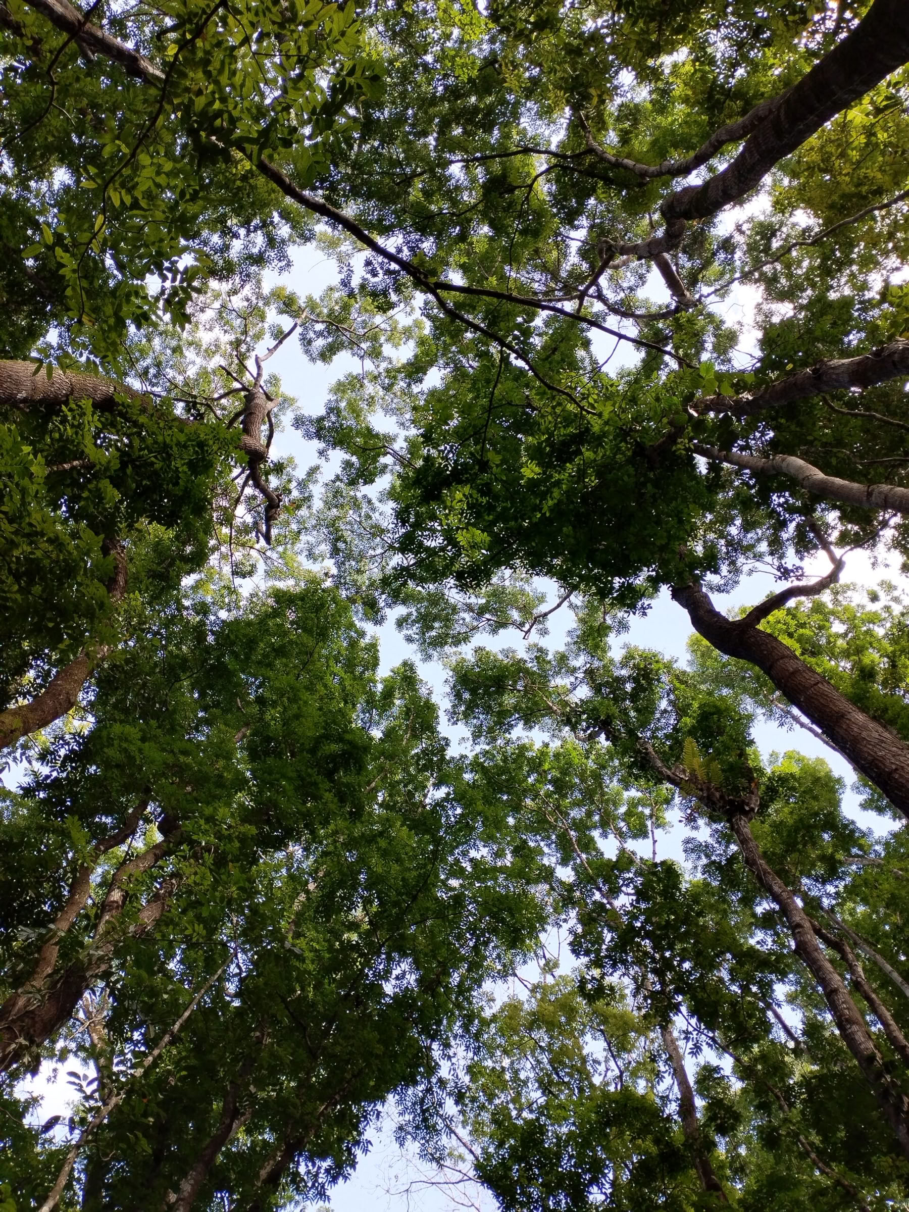 Voyage de pleine conscience de 5 jours et 4 nuits