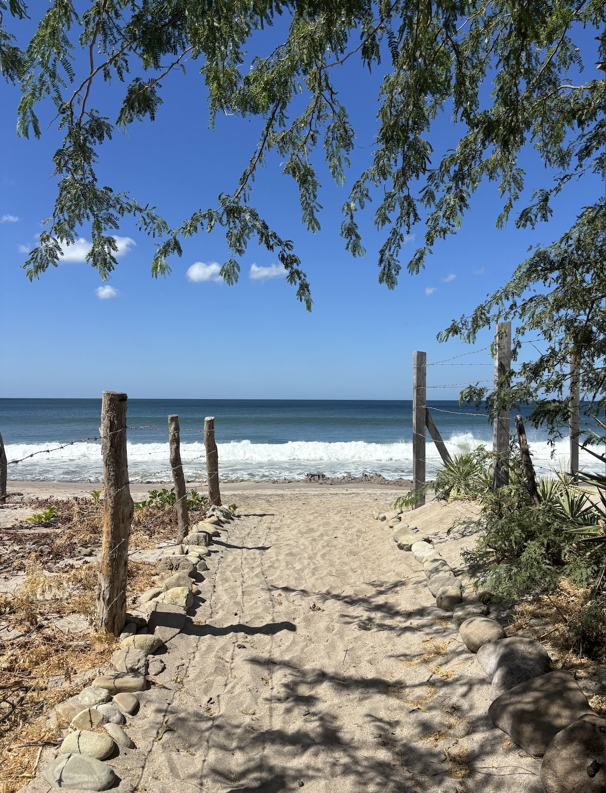 Retraite de yoga au Nicaragua février 2027