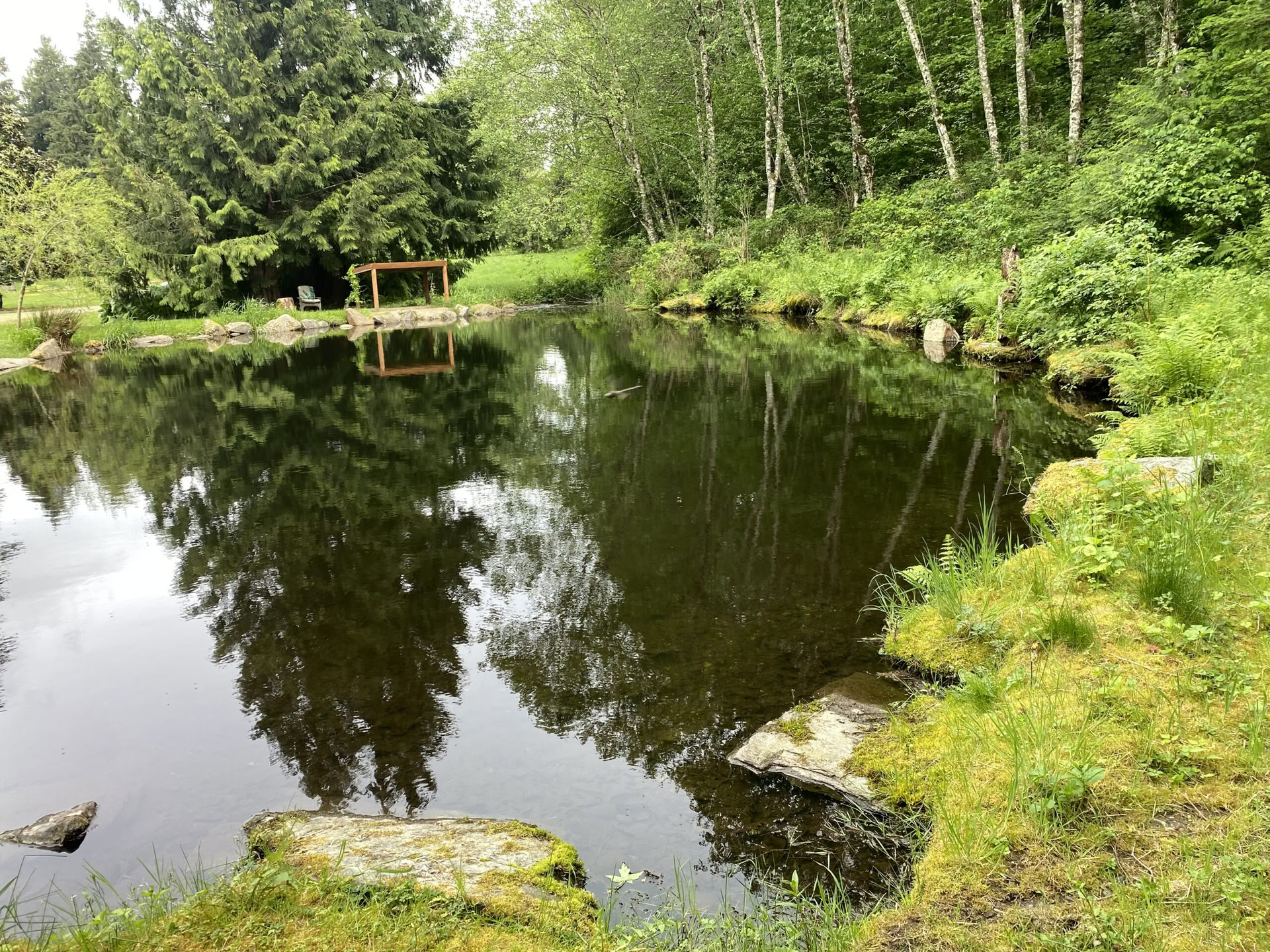 Retraite de yoga, randonnée et guérison à Fox Creek Falls