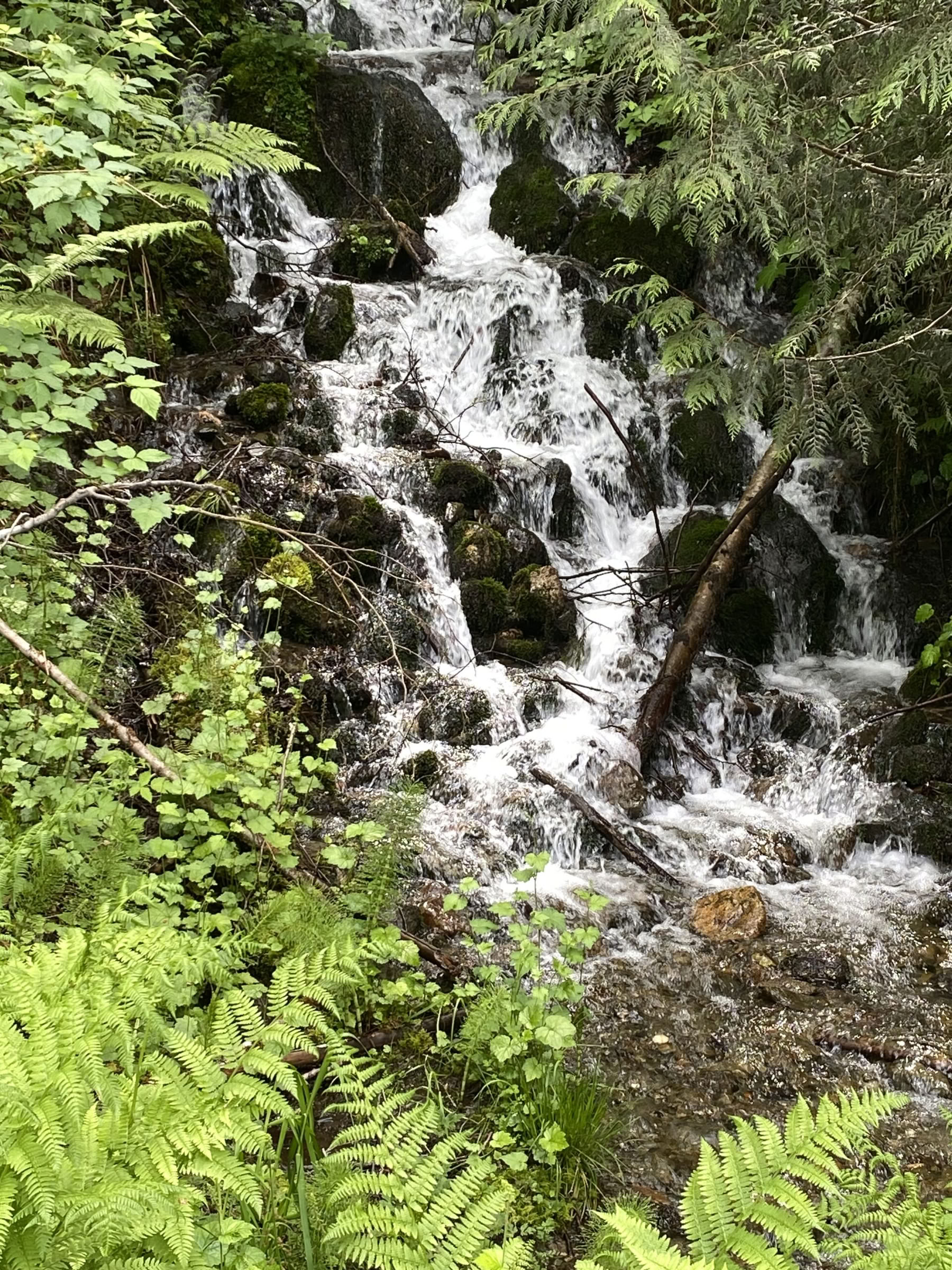Retraite de yoga, randonnée et guérison à Fox Creek Falls